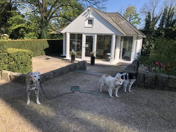 Layla,Sable und Thalia vor dem Atelier