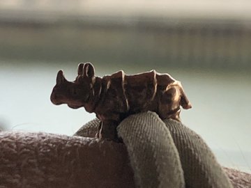 Nashorn aus Rosegold